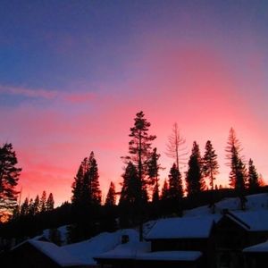 Meet your Posher, Ashlea